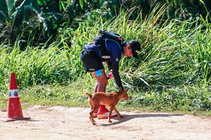 BIB: 
                            <button type="button" onclick="openModal(27995406)" class="btn btn-primary btn-sm float-right btn-popup" data-toggle="modal" data-target=".modal-high-quality">
                        <i class="fas fa-shopping-cart"></i> Add to Cart
                    </button>
                                            <button type="button" onclick="isThisMe(27995406, true)" class="btn btn-success btn-sm float-right btn-popup btn-isme hidden" data-toggle="tooltip" data-placement="bottom" title="นี่คือรูปของคุณใช่ไหม คลิกที่นี่เพื่อเอาเข้าอัลบั้ม">
                        <i class="fas fa-plus"></i> Add to album
                    </button>
                    <button type="button" onclick="isThisMe(27995406, false)" class="btn btn-warning btn-sm float-right btn-popup btn-isnotme hidden">
                        <i class="fas fa-ban"></i> Remove from album
                    </button>