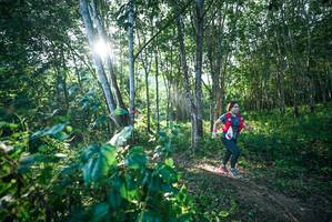 BIB: 
                            <button type="button" onclick="openModal(27933723)" class="btn btn-primary btn-sm float-right btn-popup" data-toggle="modal" data-target=".modal-high-quality">
                        <i class="fas fa-shopping-cart"></i> Add to Cart
                    </button>
                                            <button type="button" onclick="isThisMe(27933723, true)" class="btn btn-success btn-sm float-right btn-popup btn-isme hidden" data-toggle="tooltip" data-placement="bottom" title="นี่คือรูปของคุณใช่ไหม คลิกที่นี่เพื่อเอาเข้าอัลบั้ม">
                        <i class="fas fa-plus"></i> Add to album
                    </button>
                    <button type="button" onclick="isThisMe(27933723, false)" class="btn btn-warning btn-sm float-right btn-popup btn-isnotme hidden">
                        <i class="fas fa-ban"></i> Remove from album
                    </button>