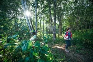 BIB: 
                            <button type="button" onclick="openModal(27933730)" class="btn btn-primary btn-sm float-right btn-popup" data-toggle="modal" data-target=".modal-high-quality">
                        <i class="fas fa-shopping-cart"></i> Add to Cart
                    </button>
                                            <button type="button" onclick="isThisMe(27933730, true)" class="btn btn-success btn-sm float-right btn-popup btn-isme hidden" data-toggle="tooltip" data-placement="bottom" title="นี่คือรูปของคุณใช่ไหม คลิกที่นี่เพื่อเอาเข้าอัลบั้ม">
                        <i class="fas fa-plus"></i> Add to album
                    </button>
                    <button type="button" onclick="isThisMe(27933730, false)" class="btn btn-warning btn-sm float-right btn-popup btn-isnotme hidden">
                        <i class="fas fa-ban"></i> Remove from album
                    </button>