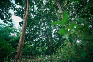 BIB: 
                            <button type="button" onclick="openModal(27926153)" class="btn btn-primary btn-sm float-right btn-popup" data-toggle="modal" data-target=".modal-high-quality">
                        <i class="fas fa-shopping-cart"></i> Add to Cart
                    </button>
                                            <button type="button" onclick="isThisMe(27926153, true)" class="btn btn-success btn-sm float-right btn-popup btn-isme hidden" data-toggle="tooltip" data-placement="bottom" title="นี่คือรูปของคุณใช่ไหม คลิกที่นี่เพื่อเอาเข้าอัลบั้ม">
                        <i class="fas fa-plus"></i> Add to album
                    </button>
                    <button type="button" onclick="isThisMe(27926153, false)" class="btn btn-warning btn-sm float-right btn-popup btn-isnotme hidden">
                        <i class="fas fa-ban"></i> Remove from album
                    </button>