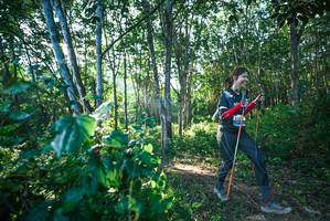 BIB: 
                            <button type="button" onclick="openModal(27933702)" class="btn btn-primary btn-sm float-right btn-popup" data-toggle="modal" data-target=".modal-high-quality">
                        <i class="fas fa-shopping-cart"></i> Add to Cart
                    </button>
                                            <button type="button" onclick="isThisMe(27933702, true)" class="btn btn-success btn-sm float-right btn-popup btn-isme hidden" data-toggle="tooltip" data-placement="bottom" title="นี่คือรูปของคุณใช่ไหม คลิกที่นี่เพื่อเอาเข้าอัลบั้ม">
                        <i class="fas fa-plus"></i> Add to album
                    </button>
                    <button type="button" onclick="isThisMe(27933702, false)" class="btn btn-warning btn-sm float-right btn-popup btn-isnotme hidden">
                        <i class="fas fa-ban"></i> Remove from album
                    </button>