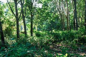 BIB: 
                            <button type="button" onclick="openModal(27933785)" class="btn btn-primary btn-sm float-right btn-popup" data-toggle="modal" data-target=".modal-high-quality">
                        <i class="fas fa-shopping-cart"></i> Add to Cart
                    </button>
                                            <button type="button" onclick="isThisMe(27933785, true)" class="btn btn-success btn-sm float-right btn-popup btn-isme hidden" data-toggle="tooltip" data-placement="bottom" title="นี่คือรูปของคุณใช่ไหม คลิกที่นี่เพื่อเอาเข้าอัลบั้ม">
                        <i class="fas fa-plus"></i> Add to album
                    </button>
                    <button type="button" onclick="isThisMe(27933785, false)" class="btn btn-warning btn-sm float-right btn-popup btn-isnotme hidden">
                        <i class="fas fa-ban"></i> Remove from album
                    </button>