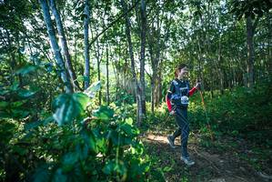 BIB: 
                            <button type="button" onclick="openModal(27933694)" class="btn btn-primary btn-sm float-right btn-popup" data-toggle="modal" data-target=".modal-high-quality">
                        <i class="fas fa-shopping-cart"></i> Add to Cart
                    </button>
                                            <button type="button" onclick="isThisMe(27933694, true)" class="btn btn-success btn-sm float-right btn-popup btn-isme hidden" data-toggle="tooltip" data-placement="bottom" title="นี่คือรูปของคุณใช่ไหม คลิกที่นี่เพื่อเอาเข้าอัลบั้ม">
                        <i class="fas fa-plus"></i> Add to album
                    </button>
                    <button type="button" onclick="isThisMe(27933694, false)" class="btn btn-warning btn-sm float-right btn-popup btn-isnotme hidden">
                        <i class="fas fa-ban"></i> Remove from album
                    </button>