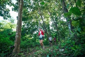 BIB: 
                            <button type="button" onclick="openModal(27931919)" class="btn btn-primary btn-sm float-right btn-popup" data-toggle="modal" data-target=".modal-high-quality">
                        <i class="fas fa-shopping-cart"></i> Add to Cart
                    </button>
                                            <button type="button" onclick="isThisMe(27931919, true)" class="btn btn-success btn-sm float-right btn-popup btn-isme hidden" data-toggle="tooltip" data-placement="bottom" title="นี่คือรูปของคุณใช่ไหม คลิกที่นี่เพื่อเอาเข้าอัลบั้ม">
                        <i class="fas fa-plus"></i> Add to album
                    </button>
                    <button type="button" onclick="isThisMe(27931919, false)" class="btn btn-warning btn-sm float-right btn-popup btn-isnotme hidden">
                        <i class="fas fa-ban"></i> Remove from album
                    </button>