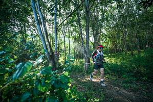 BIB: 
                            <button type="button" onclick="openModal(27933759)" class="btn btn-primary btn-sm float-right btn-popup" data-toggle="modal" data-target=".modal-high-quality">
                        <i class="fas fa-shopping-cart"></i> Add to Cart
                    </button>
                                            <button type="button" onclick="isThisMe(27933759, true)" class="btn btn-success btn-sm float-right btn-popup btn-isme hidden" data-toggle="tooltip" data-placement="bottom" title="นี่คือรูปของคุณใช่ไหม คลิกที่นี่เพื่อเอาเข้าอัลบั้ม">
                        <i class="fas fa-plus"></i> Add to album
                    </button>
                    <button type="button" onclick="isThisMe(27933759, false)" class="btn btn-warning btn-sm float-right btn-popup btn-isnotme hidden">
                        <i class="fas fa-ban"></i> Remove from album
                    </button>