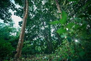 BIB: 
                            <button type="button" onclick="openModal(27926154)" class="btn btn-primary btn-sm float-right btn-popup" data-toggle="modal" data-target=".modal-high-quality">
                        <i class="fas fa-shopping-cart"></i> Add to Cart
                    </button>
                                            <button type="button" onclick="isThisMe(27926154, true)" class="btn btn-success btn-sm float-right btn-popup btn-isme hidden" data-toggle="tooltip" data-placement="bottom" title="นี่คือรูปของคุณใช่ไหม คลิกที่นี่เพื่อเอาเข้าอัลบั้ม">
                        <i class="fas fa-plus"></i> Add to album
                    </button>
                    <button type="button" onclick="isThisMe(27926154, false)" class="btn btn-warning btn-sm float-right btn-popup btn-isnotme hidden">
                        <i class="fas fa-ban"></i> Remove from album
                    </button>