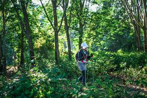 BIB: 
                            <button type="button" onclick="openModal(27933763)" class="btn btn-primary btn-sm float-right btn-popup" data-toggle="modal" data-target=".modal-high-quality">
                        <i class="fas fa-shopping-cart"></i> Add to Cart
                    </button>
                                            <button type="button" onclick="isThisMe(27933763, true)" class="btn btn-success btn-sm float-right btn-popup btn-isme hidden" data-toggle="tooltip" data-placement="bottom" title="นี่คือรูปของคุณใช่ไหม คลิกที่นี่เพื่อเอาเข้าอัลบั้ม">
                        <i class="fas fa-plus"></i> Add to album
                    </button>
                    <button type="button" onclick="isThisMe(27933763, false)" class="btn btn-warning btn-sm float-right btn-popup btn-isnotme hidden">
                        <i class="fas fa-ban"></i> Remove from album
                    </button>