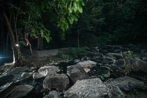 BIB: 
                            <button type="button" onclick="openModal(27933162)" class="btn btn-primary btn-sm float-right btn-popup" data-toggle="modal" data-target=".modal-high-quality">
                        <i class="fas fa-shopping-cart"></i> Add to Cart
                    </button>
                                            <button type="button" onclick="isThisMe(27933162, true)" class="btn btn-success btn-sm float-right btn-popup btn-isme hidden" data-toggle="tooltip" data-placement="bottom" title="นี่คือรูปของคุณใช่ไหม คลิกที่นี่เพื่อเอาเข้าอัลบั้ม">
                        <i class="fas fa-plus"></i> Add to album
                    </button>
                    <button type="button" onclick="isThisMe(27933162, false)" class="btn btn-warning btn-sm float-right btn-popup btn-isnotme hidden">
                        <i class="fas fa-ban"></i> Remove from album
                    </button>