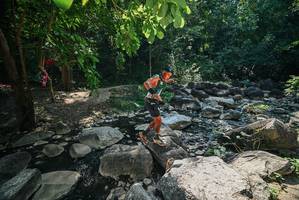 BIB: 
                            <button type="button" onclick="openModal(27930054)" class="btn btn-primary btn-sm float-right btn-popup" data-toggle="modal" data-target=".modal-high-quality">
                        <i class="fas fa-shopping-cart"></i> Add to Cart
                    </button>
                                            <button type="button" onclick="isThisMe(27930054, true)" class="btn btn-success btn-sm float-right btn-popup btn-isme hidden" data-toggle="tooltip" data-placement="bottom" title="นี่คือรูปของคุณใช่ไหม คลิกที่นี่เพื่อเอาเข้าอัลบั้ม">
                        <i class="fas fa-plus"></i> Add to album
                    </button>
                    <button type="button" onclick="isThisMe(27930054, false)" class="btn btn-warning btn-sm float-right btn-popup btn-isnotme hidden">
                        <i class="fas fa-ban"></i> Remove from album
                    </button>