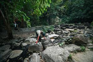 BIB: 
                            <button type="button" onclick="openModal(27930421)" class="btn btn-primary btn-sm float-right btn-popup" data-toggle="modal" data-target=".modal-high-quality">
                        <i class="fas fa-shopping-cart"></i> Add to Cart
                    </button>
                                            <button type="button" onclick="isThisMe(27930421, true)" class="btn btn-success btn-sm float-right btn-popup btn-isme hidden" data-toggle="tooltip" data-placement="bottom" title="นี่คือรูปของคุณใช่ไหม คลิกที่นี่เพื่อเอาเข้าอัลบั้ม">
                        <i class="fas fa-plus"></i> Add to album
                    </button>
                    <button type="button" onclick="isThisMe(27930421, false)" class="btn btn-warning btn-sm float-right btn-popup btn-isnotme hidden">
                        <i class="fas fa-ban"></i> Remove from album
                    </button>