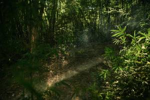 BIB: 
                            <button type="button" onclick="openModal(28022275)" class="btn btn-primary btn-sm float-right btn-popup" data-toggle="modal" data-target=".modal-high-quality">
                        <i class="fas fa-shopping-cart"></i> Add to Cart
                    </button>
                                            <button type="button" onclick="isThisMe(28022275, true)" class="btn btn-success btn-sm float-right btn-popup btn-isme hidden" data-toggle="tooltip" data-placement="bottom" title="นี่คือรูปของคุณใช่ไหม คลิกที่นี่เพื่อเอาเข้าอัลบั้ม">
                        <i class="fas fa-plus"></i> Add to album
                    </button>
                    <button type="button" onclick="isThisMe(28022275, false)" class="btn btn-warning btn-sm float-right btn-popup btn-isnotme hidden">
                        <i class="fas fa-ban"></i> Remove from album
                    </button>