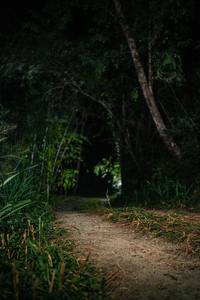 BIB: 
                            <button type="button" onclick="openModal(27990356)" class="btn btn-primary btn-sm float-right btn-popup" data-toggle="modal" data-target=".modal-high-quality">
                        <i class="fas fa-shopping-cart"></i> Add to Cart
                    </button>
                                            <button type="button" onclick="isThisMe(27990356, true)" class="btn btn-success btn-sm float-right btn-popup btn-isme hidden" data-toggle="tooltip" data-placement="bottom" title="นี่คือรูปของคุณใช่ไหม คลิกที่นี่เพื่อเอาเข้าอัลบั้ม">
                        <i class="fas fa-plus"></i> Add to album
                    </button>
                    <button type="button" onclick="isThisMe(27990356, false)" class="btn btn-warning btn-sm float-right btn-popup btn-isnotme hidden">
                        <i class="fas fa-ban"></i> Remove from album
                    </button>