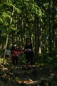 BIB: 
                            <button type="button" onclick="openModal(28035408)" class="btn btn-primary btn-sm float-right btn-popup" data-toggle="modal" data-target=".modal-high-quality">
                        <i class="fas fa-shopping-cart"></i> Add to Cart
                    </button>
                                            <button type="button" onclick="isThisMe(28035408, true)" class="btn btn-success btn-sm float-right btn-popup btn-isme hidden" data-toggle="tooltip" data-placement="bottom" title="นี่คือรูปของคุณใช่ไหม คลิกที่นี่เพื่อเอาเข้าอัลบั้ม">
                        <i class="fas fa-plus"></i> Add to album
                    </button>
                    <button type="button" onclick="isThisMe(28035408, false)" class="btn btn-warning btn-sm float-right btn-popup btn-isnotme hidden">
                        <i class="fas fa-ban"></i> Remove from album
                    </button>