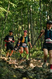 BIB: 
                            <button type="button" onclick="openModal(28030941)" class="btn btn-primary btn-sm float-right btn-popup" data-toggle="modal" data-target=".modal-high-quality">
                        <i class="fas fa-shopping-cart"></i> Add to Cart
                    </button>
                                            <button type="button" onclick="isThisMe(28030941, true)" class="btn btn-success btn-sm float-right btn-popup btn-isme hidden" data-toggle="tooltip" data-placement="bottom" title="นี่คือรูปของคุณใช่ไหม คลิกที่นี่เพื่อเอาเข้าอัลบั้ม">
                        <i class="fas fa-plus"></i> Add to album
                    </button>
                    <button type="button" onclick="isThisMe(28030941, false)" class="btn btn-warning btn-sm float-right btn-popup btn-isnotme hidden">
                        <i class="fas fa-ban"></i> Remove from album
                    </button>