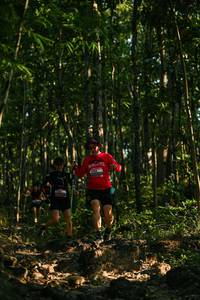 BIB: 
                            <button type="button" onclick="openModal(28031416)" class="btn btn-primary btn-sm float-right btn-popup" data-toggle="modal" data-target=".modal-high-quality">
                        <i class="fas fa-shopping-cart"></i> Add to Cart
                    </button>
                                            <button type="button" onclick="isThisMe(28031416, true)" class="btn btn-success btn-sm float-right btn-popup btn-isme hidden" data-toggle="tooltip" data-placement="bottom" title="นี่คือรูปของคุณใช่ไหม คลิกที่นี่เพื่อเอาเข้าอัลบั้ม">
                        <i class="fas fa-plus"></i> Add to album
                    </button>
                    <button type="button" onclick="isThisMe(28031416, false)" class="btn btn-warning btn-sm float-right btn-popup btn-isnotme hidden">
                        <i class="fas fa-ban"></i> Remove from album
                    </button>