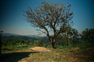 BIB: 
                            <button type="button" onclick="openModal(27978968)" class="btn btn-primary btn-sm float-right btn-popup" data-toggle="modal" data-target=".modal-high-quality">
                        <i class="fas fa-shopping-cart"></i> Add to Cart
                    </button>
                                            <button type="button" onclick="isThisMe(27978968, true)" class="btn btn-success btn-sm float-right btn-popup btn-isme hidden" data-toggle="tooltip" data-placement="bottom" title="นี่คือรูปของคุณใช่ไหม คลิกที่นี่เพื่อเอาเข้าอัลบั้ม">
                        <i class="fas fa-plus"></i> Add to album
                    </button>
                    <button type="button" onclick="isThisMe(27978968, false)" class="btn btn-warning btn-sm float-right btn-popup btn-isnotme hidden">
                        <i class="fas fa-ban"></i> Remove from album
                    </button>