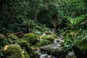 BIB: 
                            <button type="button" onclick="openModal(27989272)" class="btn btn-primary btn-sm float-right btn-popup" data-toggle="modal" data-target=".modal-high-quality">
                        <i class="fas fa-shopping-cart"></i> Add to Cart
                    </button>
                                            <button type="button" onclick="isThisMe(27989272, true)" class="btn btn-success btn-sm float-right btn-popup btn-isme hidden" data-toggle="tooltip" data-placement="bottom" title="นี่คือรูปของคุณใช่ไหม คลิกที่นี่เพื่อเอาเข้าอัลบั้ม">
                        <i class="fas fa-plus"></i> Add to album
                    </button>
                    <button type="button" onclick="isThisMe(27989272, false)" class="btn btn-warning btn-sm float-right btn-popup btn-isnotme hidden">
                        <i class="fas fa-ban"></i> Remove from album
                    </button>