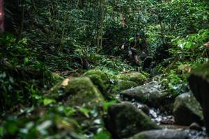 BIB: 
                            <button type="button" onclick="openModal(27989292)" class="btn btn-primary btn-sm float-right btn-popup" data-toggle="modal" data-target=".modal-high-quality">
                        <i class="fas fa-shopping-cart"></i> Add to Cart
                    </button>
                                            <button type="button" onclick="isThisMe(27989292, true)" class="btn btn-success btn-sm float-right btn-popup btn-isme hidden" data-toggle="tooltip" data-placement="bottom" title="นี่คือรูปของคุณใช่ไหม คลิกที่นี่เพื่อเอาเข้าอัลบั้ม">
                        <i class="fas fa-plus"></i> Add to album
                    </button>
                    <button type="button" onclick="isThisMe(27989292, false)" class="btn btn-warning btn-sm float-right btn-popup btn-isnotme hidden">
                        <i class="fas fa-ban"></i> Remove from album
                    </button>