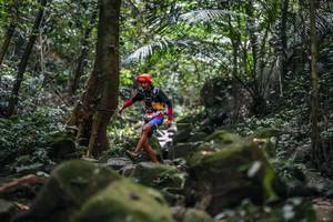 BIB: 
                            <button type="button" onclick="openModal(27988603)" class="btn btn-primary btn-sm float-right btn-popup" data-toggle="modal" data-target=".modal-high-quality">
                        <i class="fas fa-shopping-cart"></i> Add to Cart
                    </button>
                                            <button type="button" onclick="isThisMe(27988603, true)" class="btn btn-success btn-sm float-right btn-popup btn-isme hidden" data-toggle="tooltip" data-placement="bottom" title="นี่คือรูปของคุณใช่ไหม คลิกที่นี่เพื่อเอาเข้าอัลบั้ม">
                        <i class="fas fa-plus"></i> Add to album
                    </button>
                    <button type="button" onclick="isThisMe(27988603, false)" class="btn btn-warning btn-sm float-right btn-popup btn-isnotme hidden">
                        <i class="fas fa-ban"></i> Remove from album
                    </button>