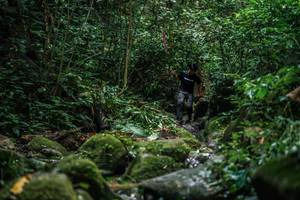 BIB: 
                            <button type="button" onclick="openModal(27989271)" class="btn btn-primary btn-sm float-right btn-popup" data-toggle="modal" data-target=".modal-high-quality">
                        <i class="fas fa-shopping-cart"></i> Add to Cart
                    </button>
                                            <button type="button" onclick="isThisMe(27989271, true)" class="btn btn-success btn-sm float-right btn-popup btn-isme hidden" data-toggle="tooltip" data-placement="bottom" title="นี่คือรูปของคุณใช่ไหม คลิกที่นี่เพื่อเอาเข้าอัลบั้ม">
                        <i class="fas fa-plus"></i> Add to album
                    </button>
                    <button type="button" onclick="isThisMe(27989271, false)" class="btn btn-warning btn-sm float-right btn-popup btn-isnotme hidden">
                        <i class="fas fa-ban"></i> Remove from album
                    </button>