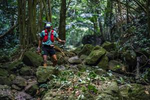 BIB: 
                            <button type="button" onclick="openModal(27989187)" class="btn btn-primary btn-sm float-right btn-popup" data-toggle="modal" data-target=".modal-high-quality">
                        <i class="fas fa-shopping-cart"></i> Add to Cart
                    </button>
                                            <button type="button" onclick="isThisMe(27989187, true)" class="btn btn-success btn-sm float-right btn-popup btn-isme hidden" data-toggle="tooltip" data-placement="bottom" title="นี่คือรูปของคุณใช่ไหม คลิกที่นี่เพื่อเอาเข้าอัลบั้ม">
                        <i class="fas fa-plus"></i> Add to album
                    </button>
                    <button type="button" onclick="isThisMe(27989187, false)" class="btn btn-warning btn-sm float-right btn-popup btn-isnotme hidden">
                        <i class="fas fa-ban"></i> Remove from album
                    </button>