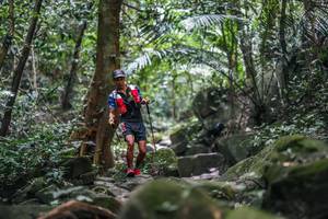 BIB: 
                            <button type="button" onclick="openModal(27987781)" class="btn btn-primary btn-sm float-right btn-popup" data-toggle="modal" data-target=".modal-high-quality">
                        <i class="fas fa-shopping-cart"></i> Add to Cart
                    </button>
                                            <button type="button" onclick="isThisMe(27987781, true)" class="btn btn-success btn-sm float-right btn-popup btn-isme hidden" data-toggle="tooltip" data-placement="bottom" title="นี่คือรูปของคุณใช่ไหม คลิกที่นี่เพื่อเอาเข้าอัลบั้ม">
                        <i class="fas fa-plus"></i> Add to album
                    </button>
                    <button type="button" onclick="isThisMe(27987781, false)" class="btn btn-warning btn-sm float-right btn-popup btn-isnotme hidden">
                        <i class="fas fa-ban"></i> Remove from album
                    </button>