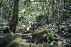 BIB: 
                            <button type="button" onclick="openModal(27986332)" class="btn btn-primary btn-sm float-right btn-popup" data-toggle="modal" data-target=".modal-high-quality">
                        <i class="fas fa-shopping-cart"></i> Add to Cart
                    </button>
                                            <button type="button" onclick="isThisMe(27986332, true)" class="btn btn-success btn-sm float-right btn-popup btn-isme hidden" data-toggle="tooltip" data-placement="bottom" title="นี่คือรูปของคุณใช่ไหม คลิกที่นี่เพื่อเอาเข้าอัลบั้ม">
                        <i class="fas fa-plus"></i> Add to album
                    </button>
                    <button type="button" onclick="isThisMe(27986332, false)" class="btn btn-warning btn-sm float-right btn-popup btn-isnotme hidden">
                        <i class="fas fa-ban"></i> Remove from album
                    </button>