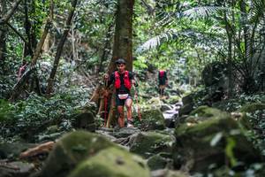 BIB: 
                            <button type="button" onclick="openModal(27989123)" class="btn btn-primary btn-sm float-right btn-popup" data-toggle="modal" data-target=".modal-high-quality">
                        <i class="fas fa-shopping-cart"></i> Add to Cart
                    </button>
                                            <button type="button" onclick="isThisMe(27989123, true)" class="btn btn-success btn-sm float-right btn-popup btn-isme hidden" data-toggle="tooltip" data-placement="bottom" title="นี่คือรูปของคุณใช่ไหม คลิกที่นี่เพื่อเอาเข้าอัลบั้ม">
                        <i class="fas fa-plus"></i> Add to album
                    </button>
                    <button type="button" onclick="isThisMe(27989123, false)" class="btn btn-warning btn-sm float-right btn-popup btn-isnotme hidden">
                        <i class="fas fa-ban"></i> Remove from album
                    </button>