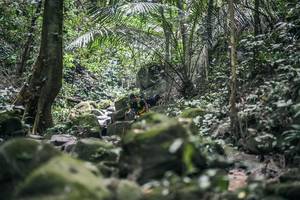 BIB: 
                            <button type="button" onclick="openModal(27986333)" class="btn btn-primary btn-sm float-right btn-popup" data-toggle="modal" data-target=".modal-high-quality">
                        <i class="fas fa-shopping-cart"></i> Add to Cart
                    </button>
                                            <button type="button" onclick="isThisMe(27986333, true)" class="btn btn-success btn-sm float-right btn-popup btn-isme hidden" data-toggle="tooltip" data-placement="bottom" title="นี่คือรูปของคุณใช่ไหม คลิกที่นี่เพื่อเอาเข้าอัลบั้ม">
                        <i class="fas fa-plus"></i> Add to album
                    </button>
                    <button type="button" onclick="isThisMe(27986333, false)" class="btn btn-warning btn-sm float-right btn-popup btn-isnotme hidden">
                        <i class="fas fa-ban"></i> Remove from album
                    </button>