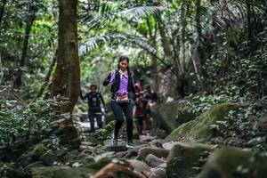 BIB: 
                            <button type="button" onclick="openModal(27987851)" class="btn btn-primary btn-sm float-right btn-popup" data-toggle="modal" data-target=".modal-high-quality">
                        <i class="fas fa-shopping-cart"></i> Add to Cart
                    </button>
                                            <button type="button" onclick="isThisMe(27987851, true)" class="btn btn-success btn-sm float-right btn-popup btn-isme hidden" data-toggle="tooltip" data-placement="bottom" title="นี่คือรูปของคุณใช่ไหม คลิกที่นี่เพื่อเอาเข้าอัลบั้ม">
                        <i class="fas fa-plus"></i> Add to album
                    </button>
                    <button type="button" onclick="isThisMe(27987851, false)" class="btn btn-warning btn-sm float-right btn-popup btn-isnotme hidden">
                        <i class="fas fa-ban"></i> Remove from album
                    </button>