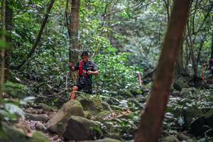 BIB: 
                            <button type="button" onclick="openModal(27988750)" class="btn btn-primary btn-sm float-right btn-popup" data-toggle="modal" data-target=".modal-high-quality">
                        <i class="fas fa-shopping-cart"></i> Add to Cart
                    </button>
                                            <button type="button" onclick="isThisMe(27988750, true)" class="btn btn-success btn-sm float-right btn-popup btn-isme hidden" data-toggle="tooltip" data-placement="bottom" title="นี่คือรูปของคุณใช่ไหม คลิกที่นี่เพื่อเอาเข้าอัลบั้ม">
                        <i class="fas fa-plus"></i> Add to album
                    </button>
                    <button type="button" onclick="isThisMe(27988750, false)" class="btn btn-warning btn-sm float-right btn-popup btn-isnotme hidden">
                        <i class="fas fa-ban"></i> Remove from album
                    </button>