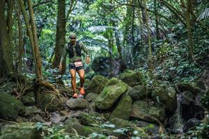 BIB: 
                            <button type="button" onclick="openModal(27989164)" class="btn btn-primary btn-sm float-right btn-popup" data-toggle="modal" data-target=".modal-high-quality">
                        <i class="fas fa-shopping-cart"></i> Add to Cart
                    </button>
                                            <button type="button" onclick="isThisMe(27989164, true)" class="btn btn-success btn-sm float-right btn-popup btn-isme hidden" data-toggle="tooltip" data-placement="bottom" title="นี่คือรูปของคุณใช่ไหม คลิกที่นี่เพื่อเอาเข้าอัลบั้ม">
                        <i class="fas fa-plus"></i> Add to album
                    </button>
                    <button type="button" onclick="isThisMe(27989164, false)" class="btn btn-warning btn-sm float-right btn-popup btn-isnotme hidden">
                        <i class="fas fa-ban"></i> Remove from album
                    </button>