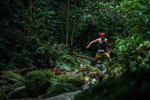 BIB: 
                            <button type="button" onclick="openModal(27989254)" class="btn btn-primary btn-sm float-right btn-popup" data-toggle="modal" data-target=".modal-high-quality">
                        <i class="fas fa-shopping-cart"></i> Add to Cart
                    </button>
                                            <button type="button" onclick="isThisMe(27989254, true)" class="btn btn-success btn-sm float-right btn-popup btn-isme hidden" data-toggle="tooltip" data-placement="bottom" title="นี่คือรูปของคุณใช่ไหม คลิกที่นี่เพื่อเอาเข้าอัลบั้ม">
                        <i class="fas fa-plus"></i> Add to album
                    </button>
                    <button type="button" onclick="isThisMe(27989254, false)" class="btn btn-warning btn-sm float-right btn-popup btn-isnotme hidden">
                        <i class="fas fa-ban"></i> Remove from album
                    </button>