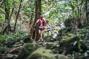 BIB: 
                            <button type="button" onclick="openModal(27987368)" class="btn btn-primary btn-sm float-right btn-popup" data-toggle="modal" data-target=".modal-high-quality">
                        <i class="fas fa-shopping-cart"></i> Add to Cart
                    </button>
                                            <button type="button" onclick="isThisMe(27987368, true)" class="btn btn-success btn-sm float-right btn-popup btn-isme hidden" data-toggle="tooltip" data-placement="bottom" title="นี่คือรูปของคุณใช่ไหม คลิกที่นี่เพื่อเอาเข้าอัลบั้ม">
                        <i class="fas fa-plus"></i> Add to album
                    </button>
                    <button type="button" onclick="isThisMe(27987368, false)" class="btn btn-warning btn-sm float-right btn-popup btn-isnotme hidden">
                        <i class="fas fa-ban"></i> Remove from album
                    </button>