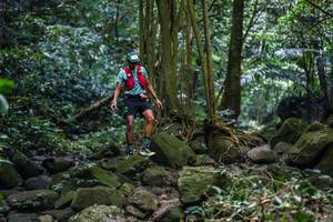 BIB: 
                            <button type="button" onclick="openModal(27989189)" class="btn btn-primary btn-sm float-right btn-popup" data-toggle="modal" data-target=".modal-high-quality">
                        <i class="fas fa-shopping-cart"></i> Add to Cart
                    </button>
                                            <button type="button" onclick="isThisMe(27989189, true)" class="btn btn-success btn-sm float-right btn-popup btn-isme hidden" data-toggle="tooltip" data-placement="bottom" title="นี่คือรูปของคุณใช่ไหม คลิกที่นี่เพื่อเอาเข้าอัลบั้ม">
                        <i class="fas fa-plus"></i> Add to album
                    </button>
                    <button type="button" onclick="isThisMe(27989189, false)" class="btn btn-warning btn-sm float-right btn-popup btn-isnotme hidden">
                        <i class="fas fa-ban"></i> Remove from album
                    </button>