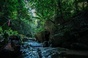 BIB: 
                            <button type="button" onclick="openModal(27989202)" class="btn btn-primary btn-sm float-right btn-popup" data-toggle="modal" data-target=".modal-high-quality">
                        <i class="fas fa-shopping-cart"></i> Add to Cart
                    </button>
                                            <button type="button" onclick="isThisMe(27989202, true)" class="btn btn-success btn-sm float-right btn-popup btn-isme hidden" data-toggle="tooltip" data-placement="bottom" title="นี่คือรูปของคุณใช่ไหม คลิกที่นี่เพื่อเอาเข้าอัลบั้ม">
                        <i class="fas fa-plus"></i> Add to album
                    </button>
                    <button type="button" onclick="isThisMe(27989202, false)" class="btn btn-warning btn-sm float-right btn-popup btn-isnotme hidden">
                        <i class="fas fa-ban"></i> Remove from album
                    </button>