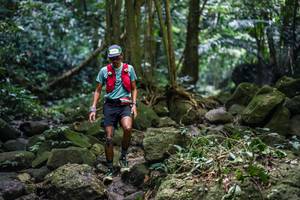 BIB: 
                            <button type="button" onclick="openModal(27989175)" class="btn btn-primary btn-sm float-right btn-popup" data-toggle="modal" data-target=".modal-high-quality">
                        <i class="fas fa-shopping-cart"></i> Add to Cart
                    </button>
                                            <button type="button" onclick="isThisMe(27989175, true)" class="btn btn-success btn-sm float-right btn-popup btn-isme hidden" data-toggle="tooltip" data-placement="bottom" title="นี่คือรูปของคุณใช่ไหม คลิกที่นี่เพื่อเอาเข้าอัลบั้ม">
                        <i class="fas fa-plus"></i> Add to album
                    </button>
                    <button type="button" onclick="isThisMe(27989175, false)" class="btn btn-warning btn-sm float-right btn-popup btn-isnotme hidden">
                        <i class="fas fa-ban"></i> Remove from album
                    </button>