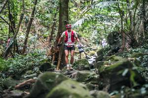 BIB: 
                            <button type="button" onclick="openModal(27987372)" class="btn btn-primary btn-sm float-right btn-popup" data-toggle="modal" data-target=".modal-high-quality">
                        <i class="fas fa-shopping-cart"></i> Add to Cart
                    </button>
                                            <button type="button" onclick="isThisMe(27987372, true)" class="btn btn-success btn-sm float-right btn-popup btn-isme hidden" data-toggle="tooltip" data-placement="bottom" title="นี่คือรูปของคุณใช่ไหม คลิกที่นี่เพื่อเอาเข้าอัลบั้ม">
                        <i class="fas fa-plus"></i> Add to album
                    </button>
                    <button type="button" onclick="isThisMe(27987372, false)" class="btn btn-warning btn-sm float-right btn-popup btn-isnotme hidden">
                        <i class="fas fa-ban"></i> Remove from album
                    </button>