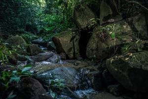 BIB: 
                            <button type="button" onclick="openModal(27989227)" class="btn btn-primary btn-sm float-right btn-popup" data-toggle="modal" data-target=".modal-high-quality">
                        <i class="fas fa-shopping-cart"></i> Add to Cart
                    </button>
                                            <button type="button" onclick="isThisMe(27989227, true)" class="btn btn-success btn-sm float-right btn-popup btn-isme hidden" data-toggle="tooltip" data-placement="bottom" title="นี่คือรูปของคุณใช่ไหม คลิกที่นี่เพื่อเอาเข้าอัลบั้ม">
                        <i class="fas fa-plus"></i> Add to album
                    </button>
                    <button type="button" onclick="isThisMe(27989227, false)" class="btn btn-warning btn-sm float-right btn-popup btn-isnotme hidden">
                        <i class="fas fa-ban"></i> Remove from album
                    </button>