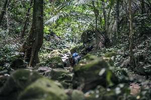 BIB: 
                            <button type="button" onclick="openModal(27985951)" class="btn btn-primary btn-sm float-right btn-popup" data-toggle="modal" data-target=".modal-high-quality">
                        <i class="fas fa-shopping-cart"></i> Add to Cart
                    </button>
                                            <button type="button" onclick="isThisMe(27985951, true)" class="btn btn-success btn-sm float-right btn-popup btn-isme hidden" data-toggle="tooltip" data-placement="bottom" title="นี่คือรูปของคุณใช่ไหม คลิกที่นี่เพื่อเอาเข้าอัลบั้ม">
                        <i class="fas fa-plus"></i> Add to album
                    </button>
                    <button type="button" onclick="isThisMe(27985951, false)" class="btn btn-warning btn-sm float-right btn-popup btn-isnotme hidden">
                        <i class="fas fa-ban"></i> Remove from album
                    </button>