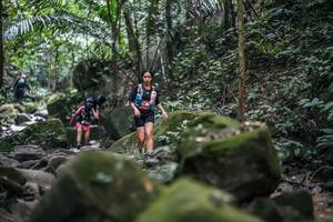 BIB: 
                            <button type="button" onclick="openModal(27987925)" class="btn btn-primary btn-sm float-right btn-popup" data-toggle="modal" data-target=".modal-high-quality">
                        <i class="fas fa-shopping-cart"></i> Add to Cart
                    </button>
                                            <button type="button" onclick="isThisMe(27987925, true)" class="btn btn-success btn-sm float-right btn-popup btn-isme hidden" data-toggle="tooltip" data-placement="bottom" title="นี่คือรูปของคุณใช่ไหม คลิกที่นี่เพื่อเอาเข้าอัลบั้ม">
                        <i class="fas fa-plus"></i> Add to album
                    </button>
                    <button type="button" onclick="isThisMe(27987925, false)" class="btn btn-warning btn-sm float-right btn-popup btn-isnotme hidden">
                        <i class="fas fa-ban"></i> Remove from album
                    </button>