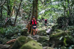 BIB: 
                            <button type="button" onclick="openModal(27989124)" class="btn btn-primary btn-sm float-right btn-popup" data-toggle="modal" data-target=".modal-high-quality">
                        <i class="fas fa-shopping-cart"></i> Add to Cart
                    </button>
                                            <button type="button" onclick="isThisMe(27989124, true)" class="btn btn-success btn-sm float-right btn-popup btn-isme hidden" data-toggle="tooltip" data-placement="bottom" title="นี่คือรูปของคุณใช่ไหม คลิกที่นี่เพื่อเอาเข้าอัลบั้ม">
                        <i class="fas fa-plus"></i> Add to album
                    </button>
                    <button type="button" onclick="isThisMe(27989124, false)" class="btn btn-warning btn-sm float-right btn-popup btn-isnotme hidden">
                        <i class="fas fa-ban"></i> Remove from album
                    </button>