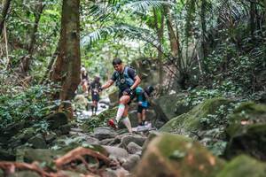 BIB: 
                            <button type="button" onclick="openModal(27987648)" class="btn btn-primary btn-sm float-right btn-popup" data-toggle="modal" data-target=".modal-high-quality">
                        <i class="fas fa-shopping-cart"></i> Add to Cart
                    </button>
                                            <button type="button" onclick="isThisMe(27987648, true)" class="btn btn-success btn-sm float-right btn-popup btn-isme hidden" data-toggle="tooltip" data-placement="bottom" title="นี่คือรูปของคุณใช่ไหม คลิกที่นี่เพื่อเอาเข้าอัลบั้ม">
                        <i class="fas fa-plus"></i> Add to album
                    </button>
                    <button type="button" onclick="isThisMe(27987648, false)" class="btn btn-warning btn-sm float-right btn-popup btn-isnotme hidden">
                        <i class="fas fa-ban"></i> Remove from album
                    </button>