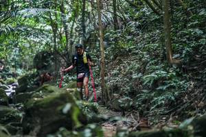 BIB: 
                            <button type="button" onclick="openModal(27988658)" class="btn btn-primary btn-sm float-right btn-popup" data-toggle="modal" data-target=".modal-high-quality">
                        <i class="fas fa-shopping-cart"></i> Add to Cart
                    </button>
                                            <button type="button" onclick="isThisMe(27988658, true)" class="btn btn-success btn-sm float-right btn-popup btn-isme hidden" data-toggle="tooltip" data-placement="bottom" title="นี่คือรูปของคุณใช่ไหม คลิกที่นี่เพื่อเอาเข้าอัลบั้ม">
                        <i class="fas fa-plus"></i> Add to album
                    </button>
                    <button type="button" onclick="isThisMe(27988658, false)" class="btn btn-warning btn-sm float-right btn-popup btn-isnotme hidden">
                        <i class="fas fa-ban"></i> Remove from album
                    </button>