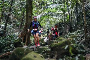 BIB: 
                            <button type="button" onclick="openModal(27988690)" class="btn btn-primary btn-sm float-right btn-popup" data-toggle="modal" data-target=".modal-high-quality">
                        <i class="fas fa-shopping-cart"></i> Add to Cart
                    </button>
                                            <button type="button" onclick="isThisMe(27988690, true)" class="btn btn-success btn-sm float-right btn-popup btn-isme hidden" data-toggle="tooltip" data-placement="bottom" title="นี่คือรูปของคุณใช่ไหม คลิกที่นี่เพื่อเอาเข้าอัลบั้ม">
                        <i class="fas fa-plus"></i> Add to album
                    </button>
                    <button type="button" onclick="isThisMe(27988690, false)" class="btn btn-warning btn-sm float-right btn-popup btn-isnotme hidden">
                        <i class="fas fa-ban"></i> Remove from album
                    </button>