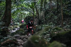 BIB: 
                            <button type="button" onclick="openModal(27988119)" class="btn btn-primary btn-sm float-right btn-popup" data-toggle="modal" data-target=".modal-high-quality">
                        <i class="fas fa-shopping-cart"></i> Add to Cart
                    </button>
                                            <button type="button" onclick="isThisMe(27988119, true)" class="btn btn-success btn-sm float-right btn-popup btn-isme hidden" data-toggle="tooltip" data-placement="bottom" title="นี่คือรูปของคุณใช่ไหม คลิกที่นี่เพื่อเอาเข้าอัลบั้ม">
                        <i class="fas fa-plus"></i> Add to album
                    </button>
                    <button type="button" onclick="isThisMe(27988119, false)" class="btn btn-warning btn-sm float-right btn-popup btn-isnotme hidden">
                        <i class="fas fa-ban"></i> Remove from album
                    </button>