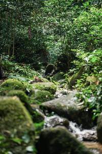 BIB: 
                            <button type="button" onclick="openModal(27989255)" class="btn btn-primary btn-sm float-right btn-popup" data-toggle="modal" data-target=".modal-high-quality">
                        <i class="fas fa-shopping-cart"></i> Add to Cart
                    </button>
                                            <button type="button" onclick="isThisMe(27989255, true)" class="btn btn-success btn-sm float-right btn-popup btn-isme hidden" data-toggle="tooltip" data-placement="bottom" title="นี่คือรูปของคุณใช่ไหม คลิกที่นี่เพื่อเอาเข้าอัลบั้ม">
                        <i class="fas fa-plus"></i> Add to album
                    </button>
                    <button type="button" onclick="isThisMe(27989255, false)" class="btn btn-warning btn-sm float-right btn-popup btn-isnotme hidden">
                        <i class="fas fa-ban"></i> Remove from album
                    </button>