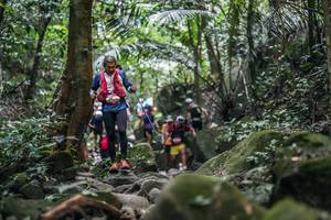 BIB: 
                            <button type="button" onclick="openModal(27988014)" class="btn btn-primary btn-sm float-right btn-popup" data-toggle="modal" data-target=".modal-high-quality">
                        <i class="fas fa-shopping-cart"></i> Add to Cart
                    </button>
                                            <button type="button" onclick="isThisMe(27988014, true)" class="btn btn-success btn-sm float-right btn-popup btn-isme hidden" data-toggle="tooltip" data-placement="bottom" title="นี่คือรูปของคุณใช่ไหม คลิกที่นี่เพื่อเอาเข้าอัลบั้ม">
                        <i class="fas fa-plus"></i> Add to album
                    </button>
                    <button type="button" onclick="isThisMe(27988014, false)" class="btn btn-warning btn-sm float-right btn-popup btn-isnotme hidden">
                        <i class="fas fa-ban"></i> Remove from album
                    </button>