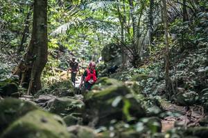 BIB: 
                            <button type="button" onclick="openModal(27987295)" class="btn btn-primary btn-sm float-right btn-popup" data-toggle="modal" data-target=".modal-high-quality">
                        <i class="fas fa-shopping-cart"></i> Add to Cart
                    </button>
                                            <button type="button" onclick="isThisMe(27987295, true)" class="btn btn-success btn-sm float-right btn-popup btn-isme hidden" data-toggle="tooltip" data-placement="bottom" title="นี่คือรูปของคุณใช่ไหม คลิกที่นี่เพื่อเอาเข้าอัลบั้ม">
                        <i class="fas fa-plus"></i> Add to album
                    </button>
                    <button type="button" onclick="isThisMe(27987295, false)" class="btn btn-warning btn-sm float-right btn-popup btn-isnotme hidden">
                        <i class="fas fa-ban"></i> Remove from album
                    </button>