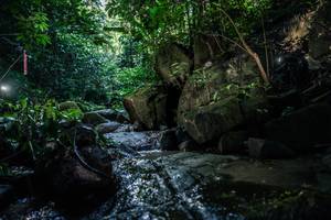 BIB: 
                            <button type="button" onclick="openModal(27989225)" class="btn btn-primary btn-sm float-right btn-popup" data-toggle="modal" data-target=".modal-high-quality">
                        <i class="fas fa-shopping-cart"></i> Add to Cart
                    </button>
                                            <button type="button" onclick="isThisMe(27989225, true)" class="btn btn-success btn-sm float-right btn-popup btn-isme hidden" data-toggle="tooltip" data-placement="bottom" title="นี่คือรูปของคุณใช่ไหม คลิกที่นี่เพื่อเอาเข้าอัลบั้ม">
                        <i class="fas fa-plus"></i> Add to album
                    </button>
                    <button type="button" onclick="isThisMe(27989225, false)" class="btn btn-warning btn-sm float-right btn-popup btn-isnotme hidden">
                        <i class="fas fa-ban"></i> Remove from album
                    </button>